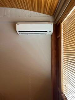 IMG_0950.jpeg