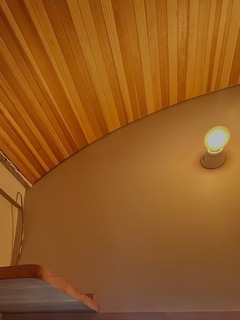IMG_0951.jpeg