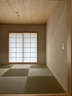 IMG_1317.jpeg