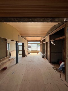 IMG_4941.jpeg