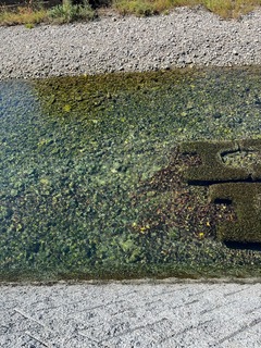 IMG_5187.jpeg