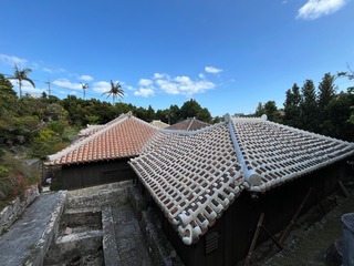 IMG_6584-9057e.jpeg
