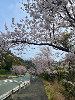 IMG_6835.jpeg