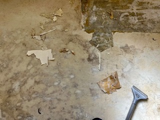 IMG_8522.jpeg