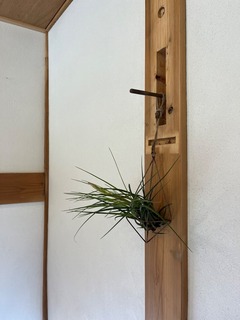 IMG_9422.jpeg
